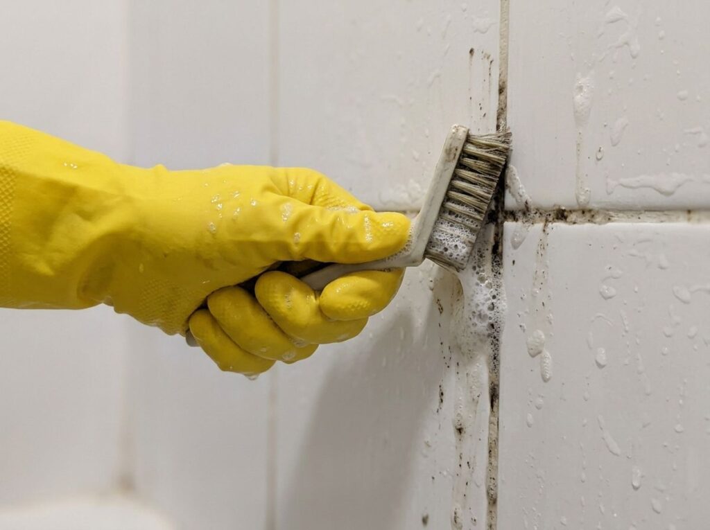 Gloved hand scrubbing mildew from shower grout with a brush