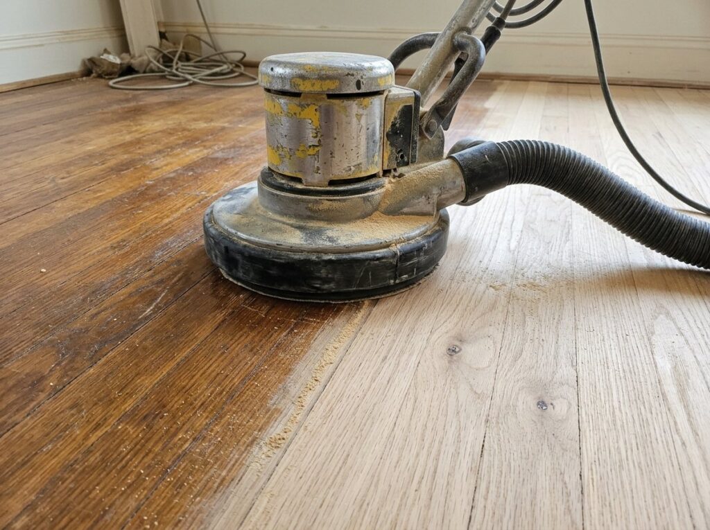 Orbital floor sander on oak boards showing old finish next to freshly sanded bare wood